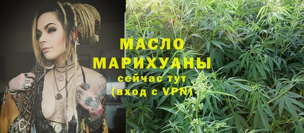 тгк Бородино