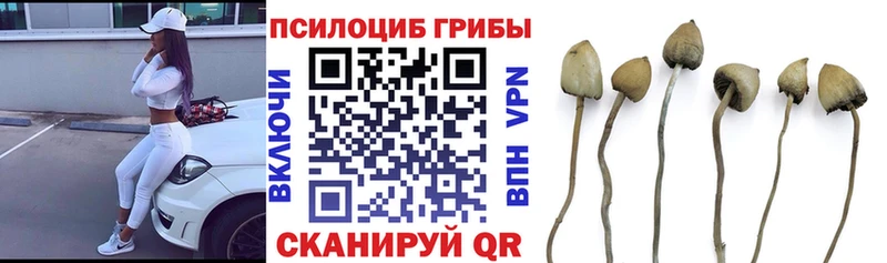 Псилоцибиновые грибы мицелий  гидра рабочий сайт  Малоярославец 